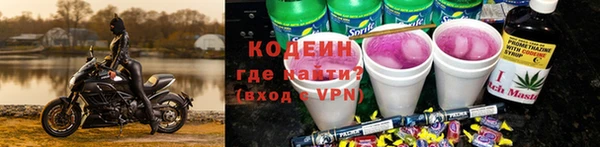 стаф Балахна