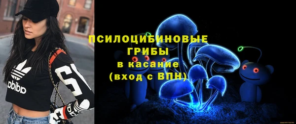 стаф Балахна