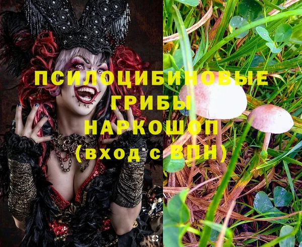 соль ск Балабаново