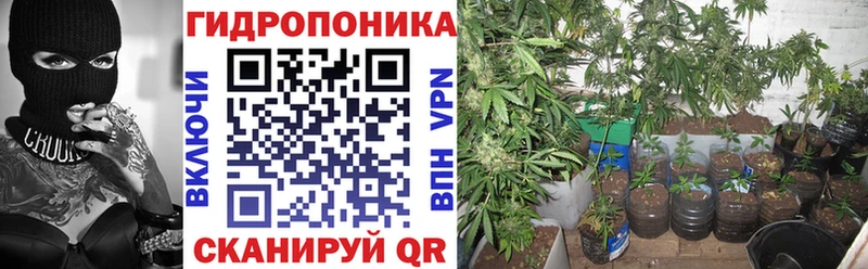 Канабис ГИДРОПОН Купить Бронницы